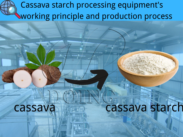 Cassava starch processing equipment's working principle and production process