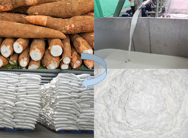 cassava starch production process