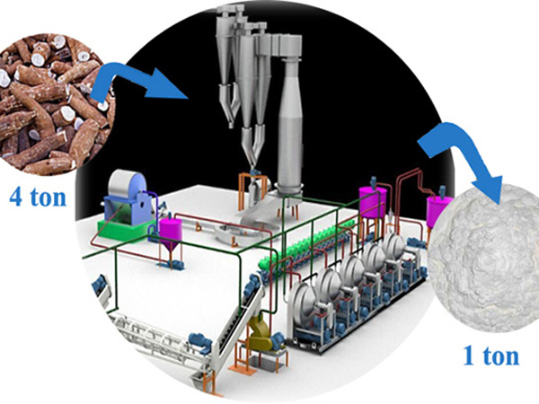 Doing Company cassava starch extraction rate > 94%