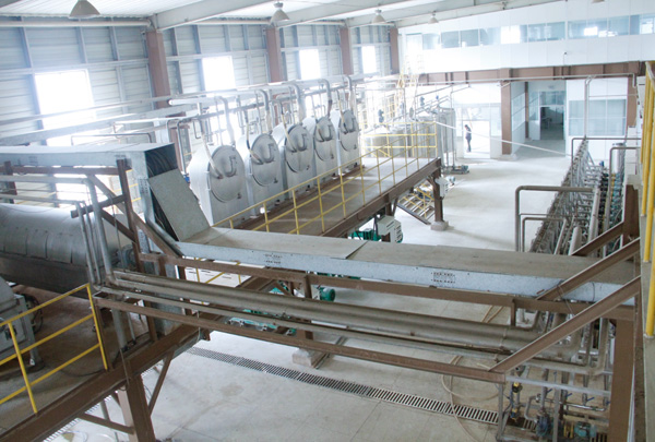 cassava starch processing plant