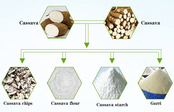 cassava processing machine