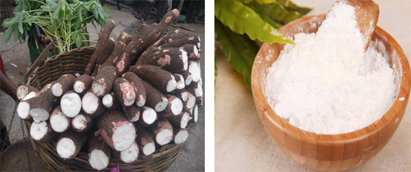 cassava starch