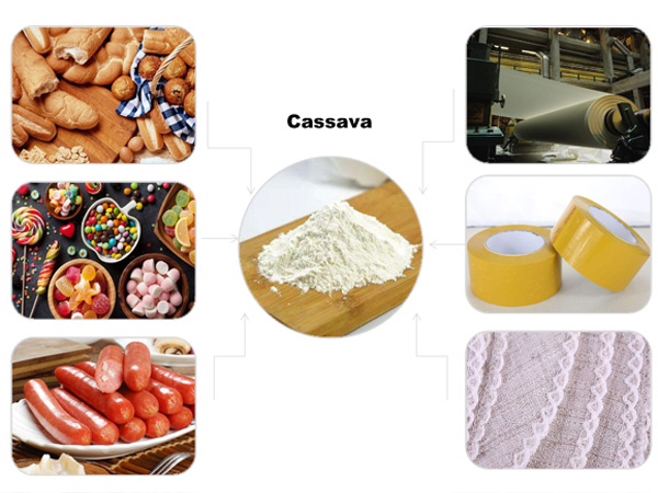 What is the use of cassava starch ?
