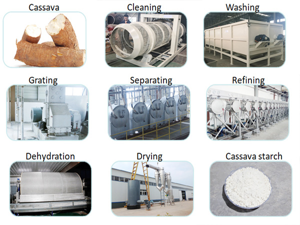 How to make tapioca flour from cassava ?