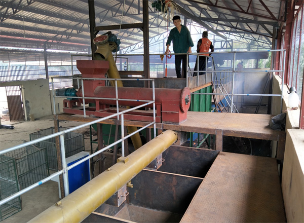 cassava starch production plant