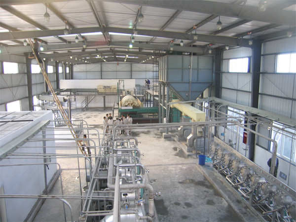 sweet potato starch production plant