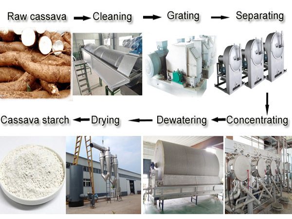 Cassava starch extraction plant