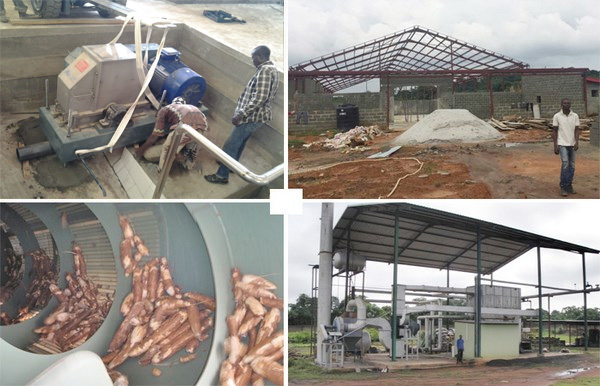 cassava starch production plant