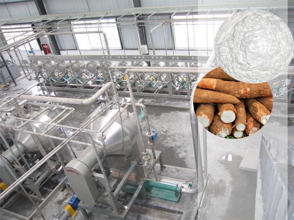 Cassava starch processing factory