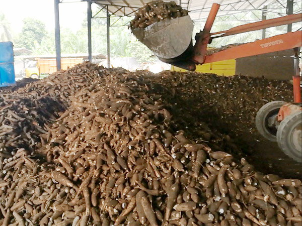 tapioca starch transportation