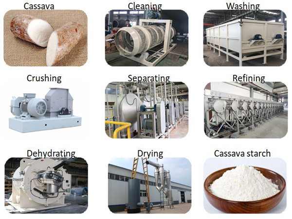 cassava starch production process