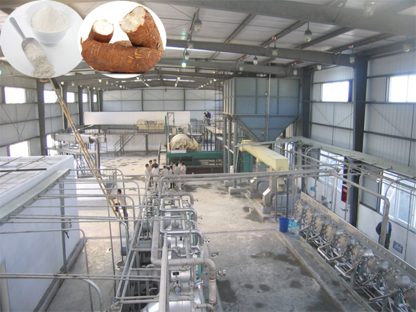 Cassava starch production plant