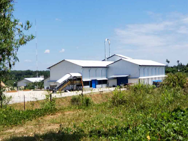 cassava starch production in Vietnam