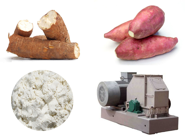 How to make tapioca starch from cassava?