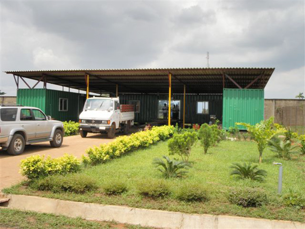 cassava production plant