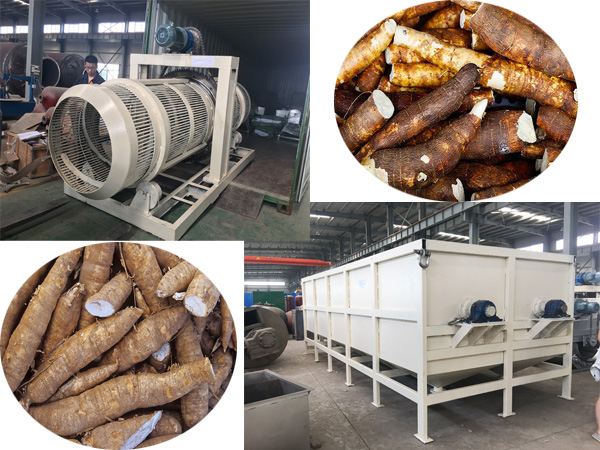 cassava washing machine