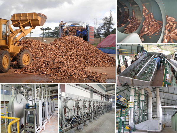 cassava starch processing equipment