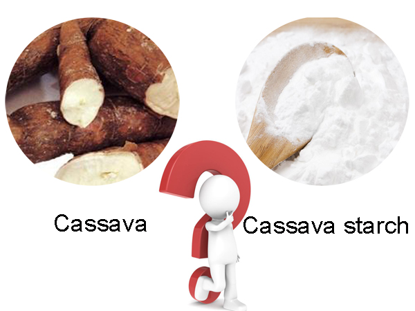 cassava processing