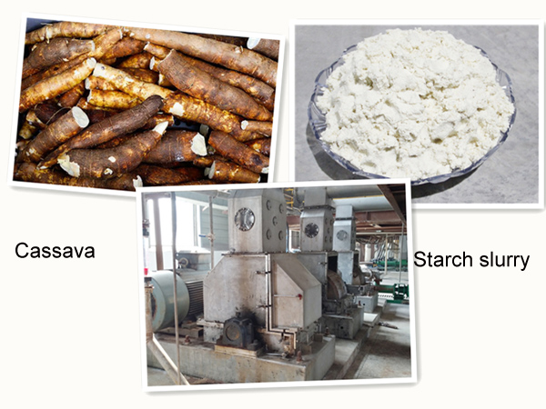 cassava starch processing equipment