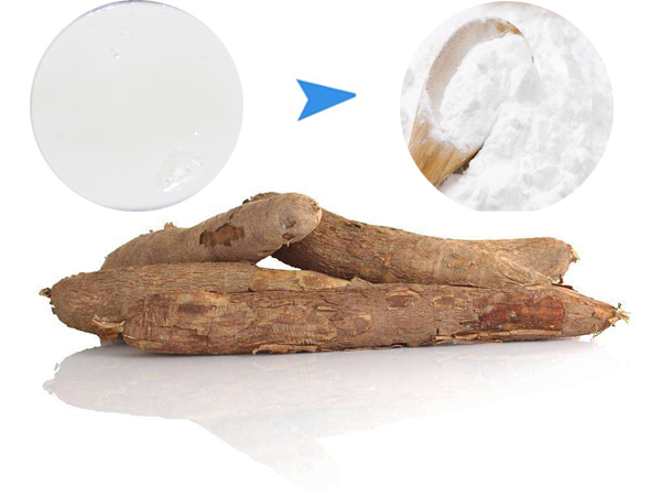 cassava starch