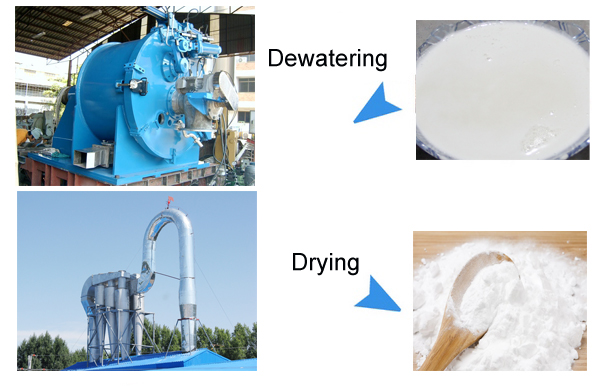 cassava starch processing machine