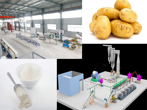 potato starch processing plant