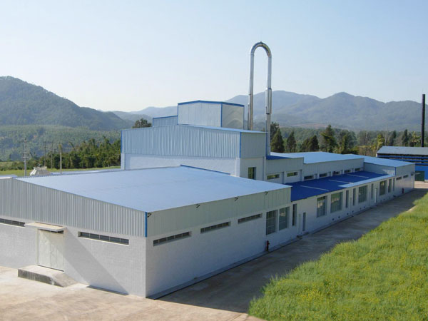 cassava processing plant