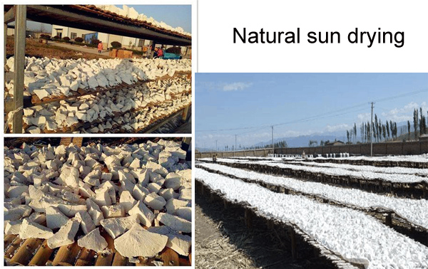 how to dry cassava starch