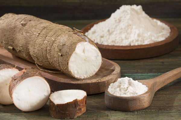 cassava industry in Thailand