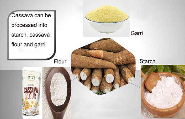 cassava processing