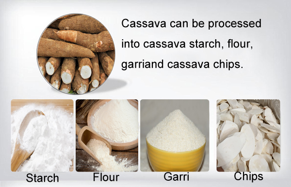 cassava processing