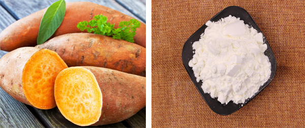 sweet potato starch industry in China