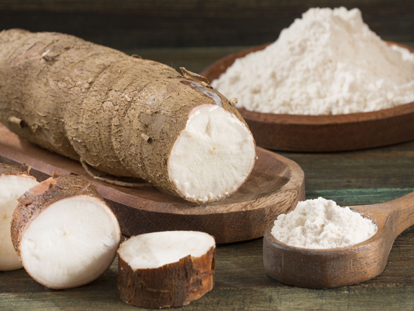 What is process of starch extraction from cassava root ?