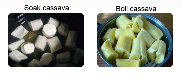 is cassava good for losing weight