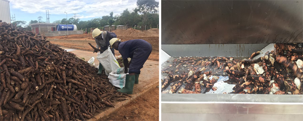 manioc starch processing machine