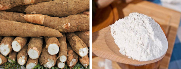 what is cassava starch