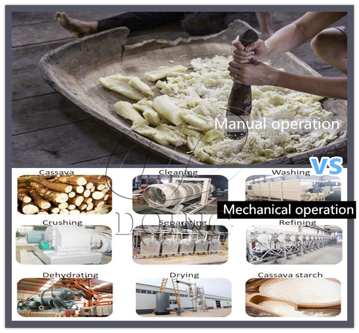 cassava starch processing business in Nigeria