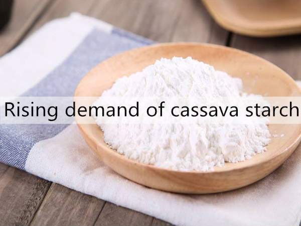 Global cassava starch market trends: the reason of rising demand of cassava starch