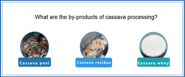 the by-products of cassava processing