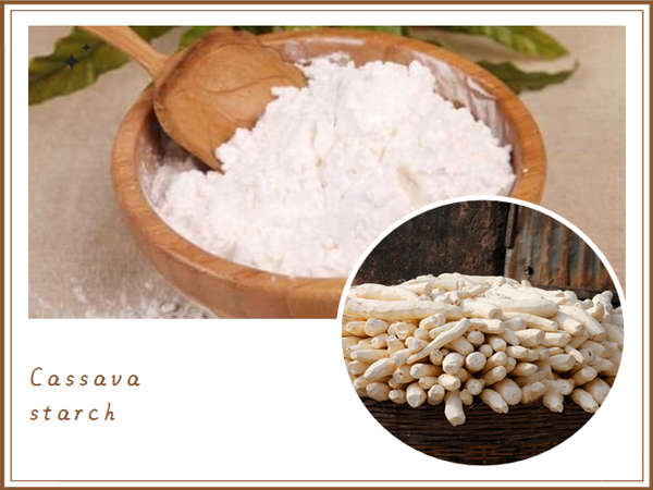 what can cassava be processed into