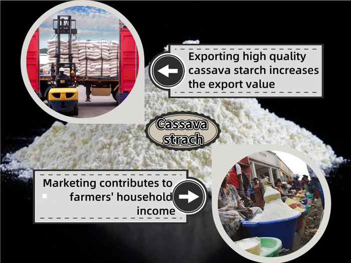 Overview of cassava starch production in Cambodia