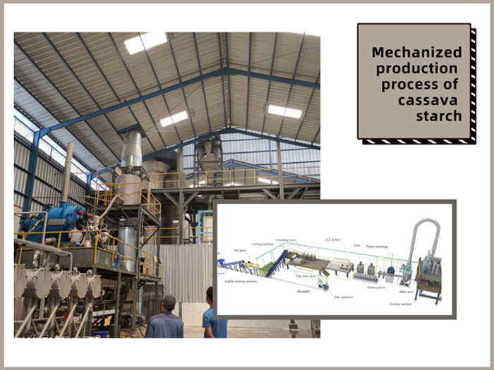 mechanized cassava starch production in DOING company cassava starch production process