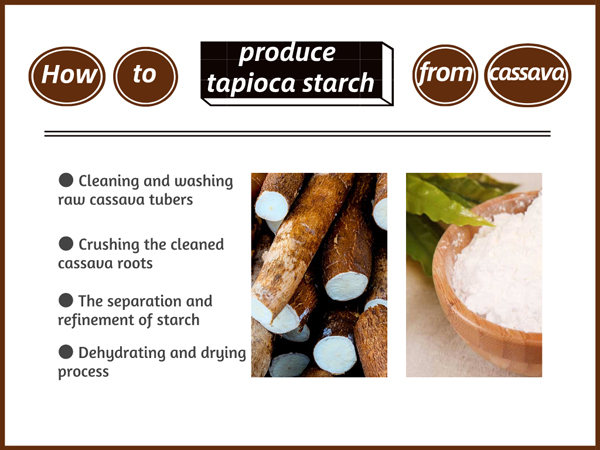 How to produce tapioca starch from cassava?