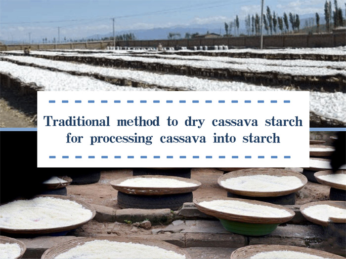 dry cassava starch for processing cassava into starch