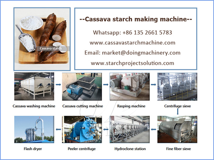 How is starch extracted from cassava? cassava starch processing machine