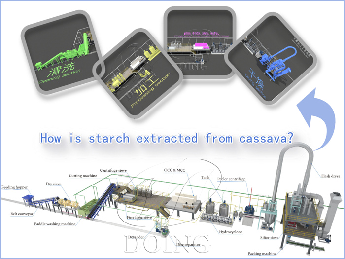 different sections in cassava starch extraction