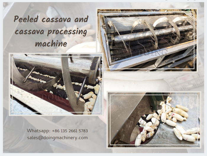 New design cassava peeling and washing machine