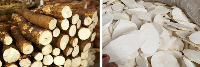 cassava