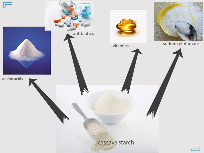 use of cassava starch