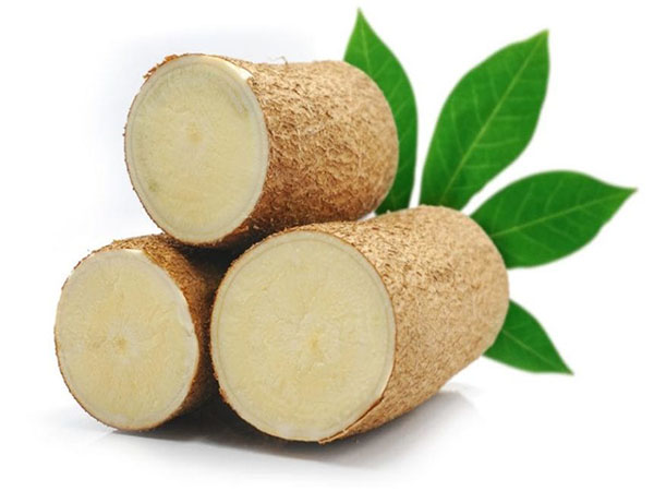 What is cassava and what is the use?